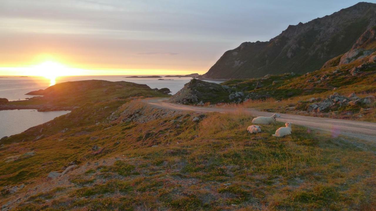فندق Nyksundrom, Nyksund المظهر الخارجي الصورة